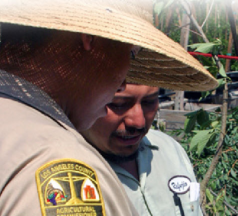 plant inspector plant inspector