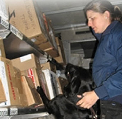 dog team inspector dog team inspector