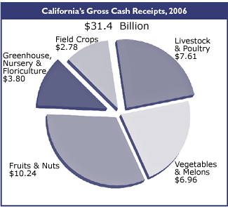 California Gross Cash Receipts by Commodity Sector - 2006 (in billions)