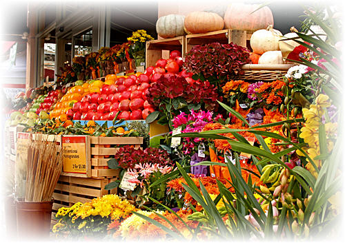 California Produce Helps Feed the Nation