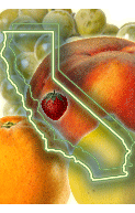 Fruits