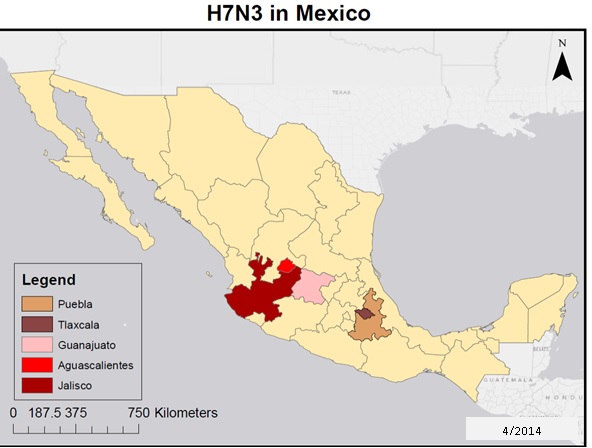 Mexico Avian Influenza Map