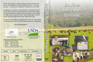 TB DVD Cover
