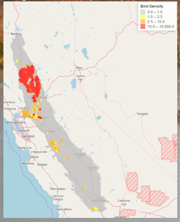 California Waterfowl Tracker