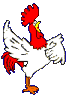 Rooster