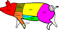 Pork Cuts
