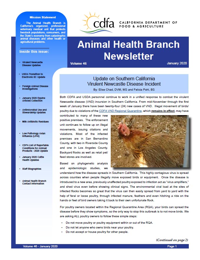 January 2020 Newsletter front cover