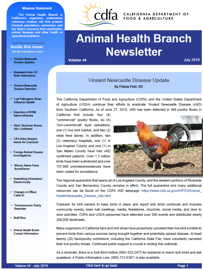 July 2019 Newsletter front cover