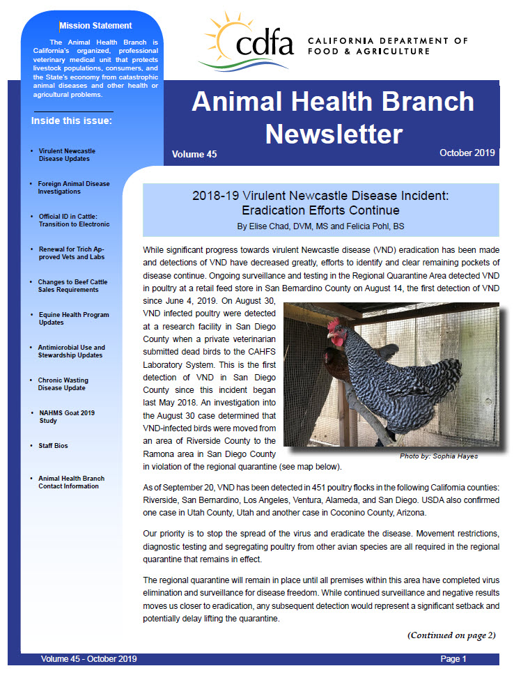 October 2019 Newsletter front cover