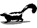 Skunk