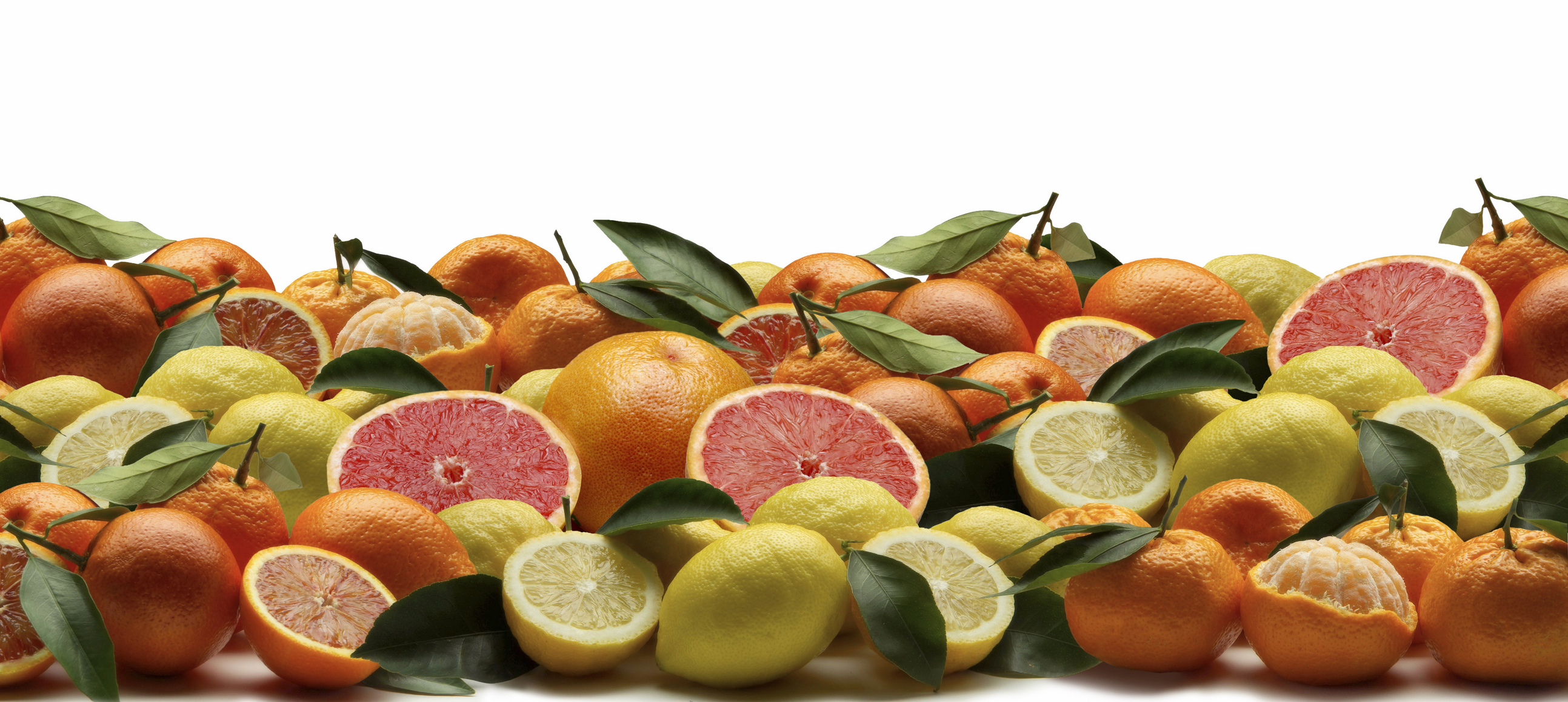 Citrus