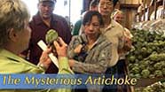 Mysterious Artichoke