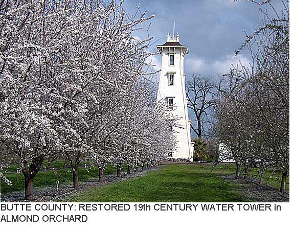 Butte County: Restored 19th Century Water Tower in Almond Orchard