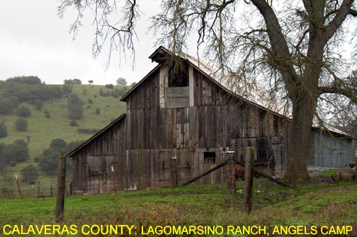 Calaveras County: Lagomarsino Ranch, Angels Camp