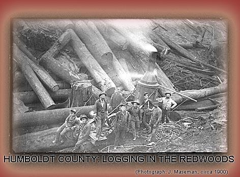Humboldt County: Logging in the Redwoods. J. Maseman, Photographer, circa 1900