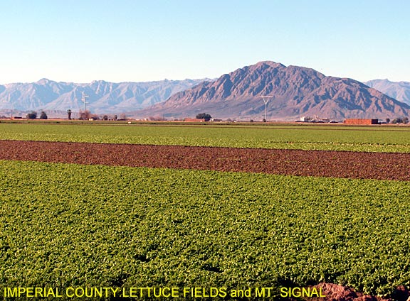 Imperial County: Lettuce Fields and Mount Signal