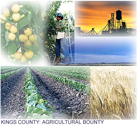 Kings County: Cherry, Cotton and Wheat Crops