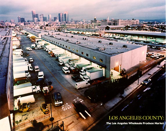 Aerial View of The Los Angeles Wholesale Produce Market and Downtown Skyline