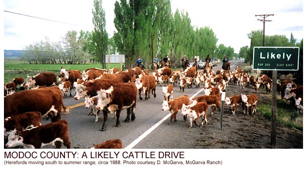 Modoc County: A Likely Cattle Drive