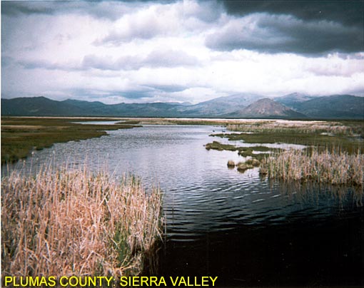 Plumas County: Sierra Valley