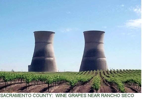 Sacramento County: Wine Grapes near Rancho Seco
