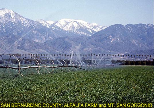 San Bernardino County: Alfalfa Farm and Mt. San Gorgonio