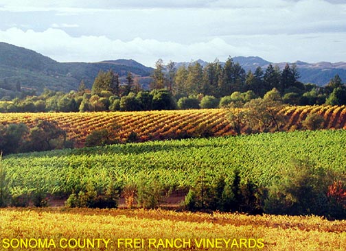 Sonoma Co...