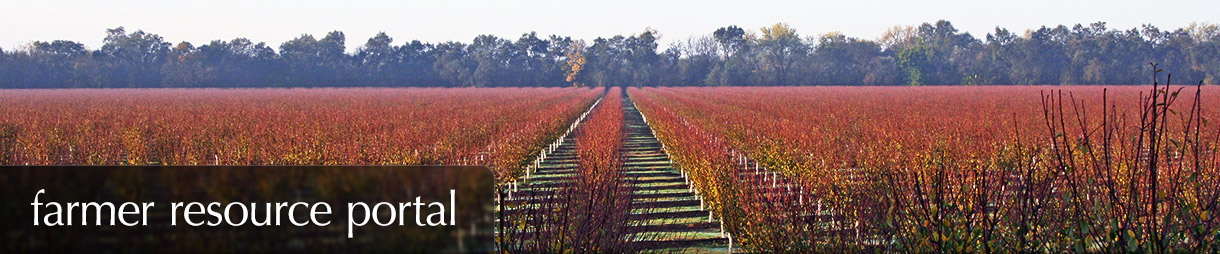 Farmer Resource Portal - A red field of prune trees in the fall