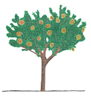 Pistachio Image