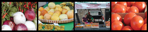 Certified Farmers Market Program, Onions, a variety of small table squash, a farmers market produce stand, boxed tomatoes