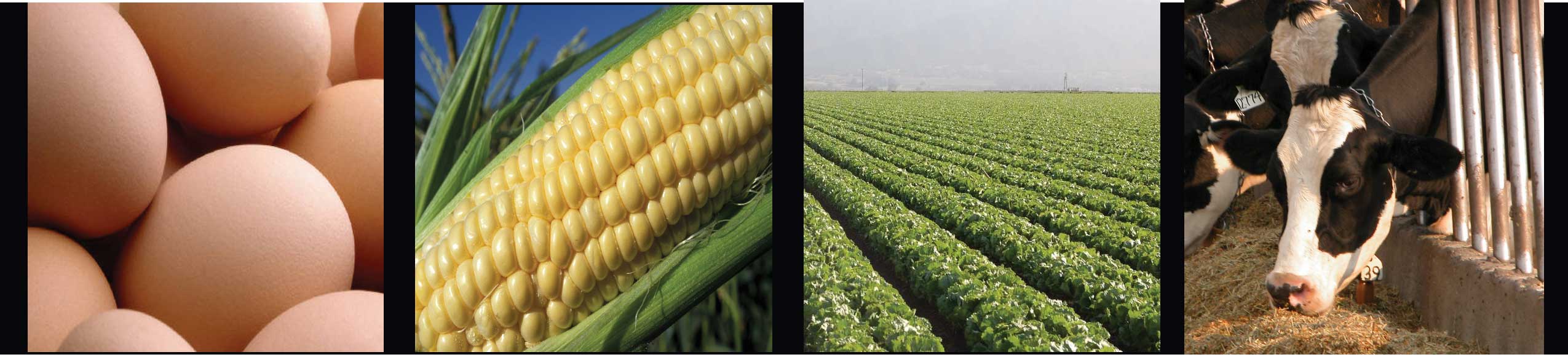 Feed, Fertilizer, Livestock Drugs and Egg Regulatory Services