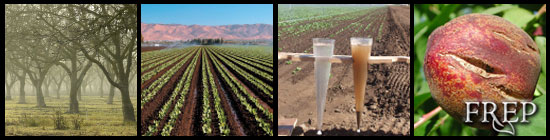 FREP Banner, Trees, row crops, Stone Fruit