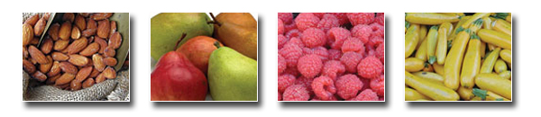 Standardization Program, Almond, Pears and Apples, Rasberries, Squash