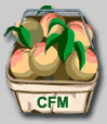 CFM Fruit Basket