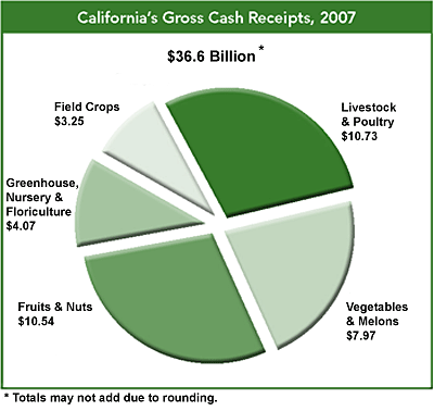 2007 Gross Cash Receipts, in Billions $