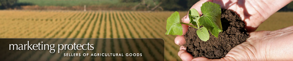 Marketing protects sellers of agricultural goods