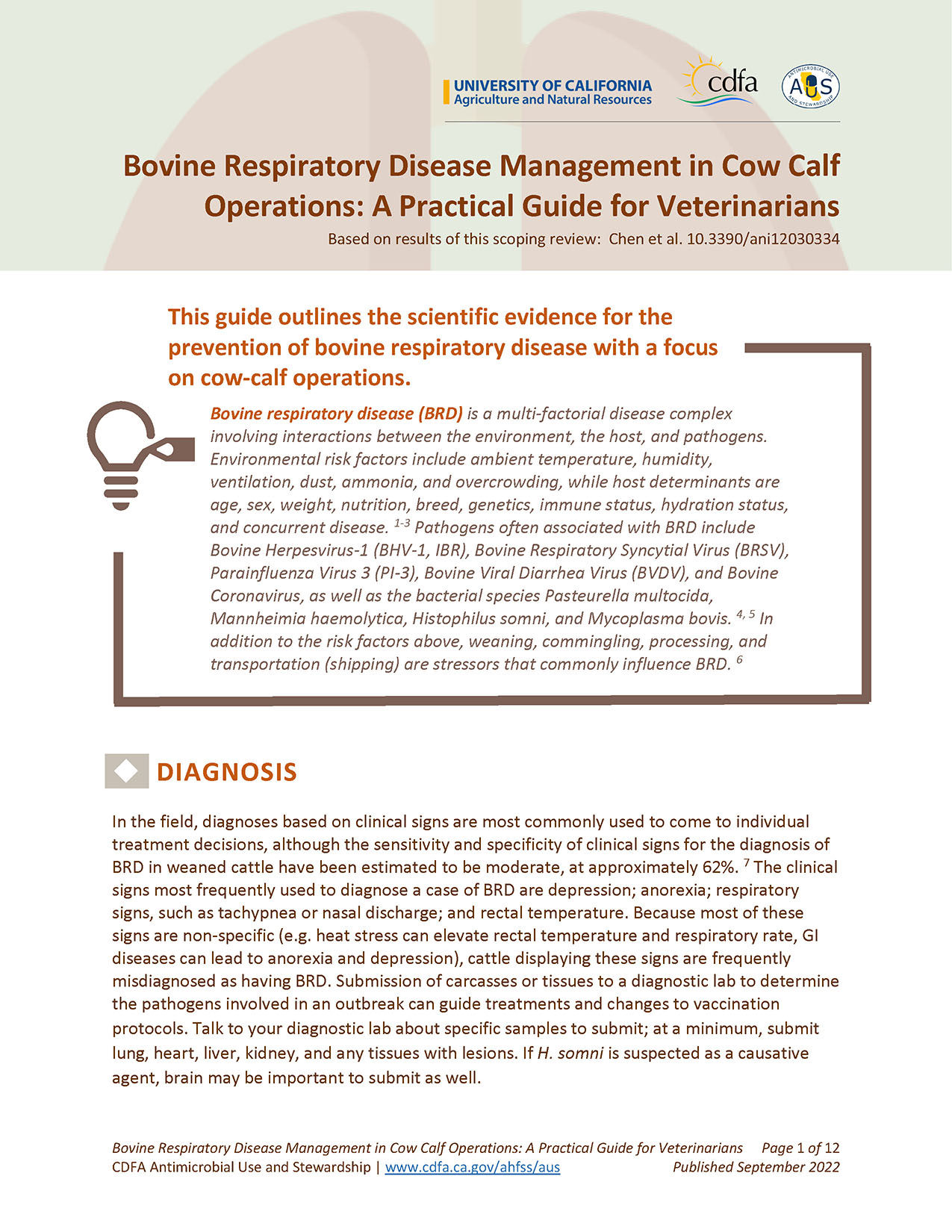 Cow Calf BovineRespiratory Disease thumbnail