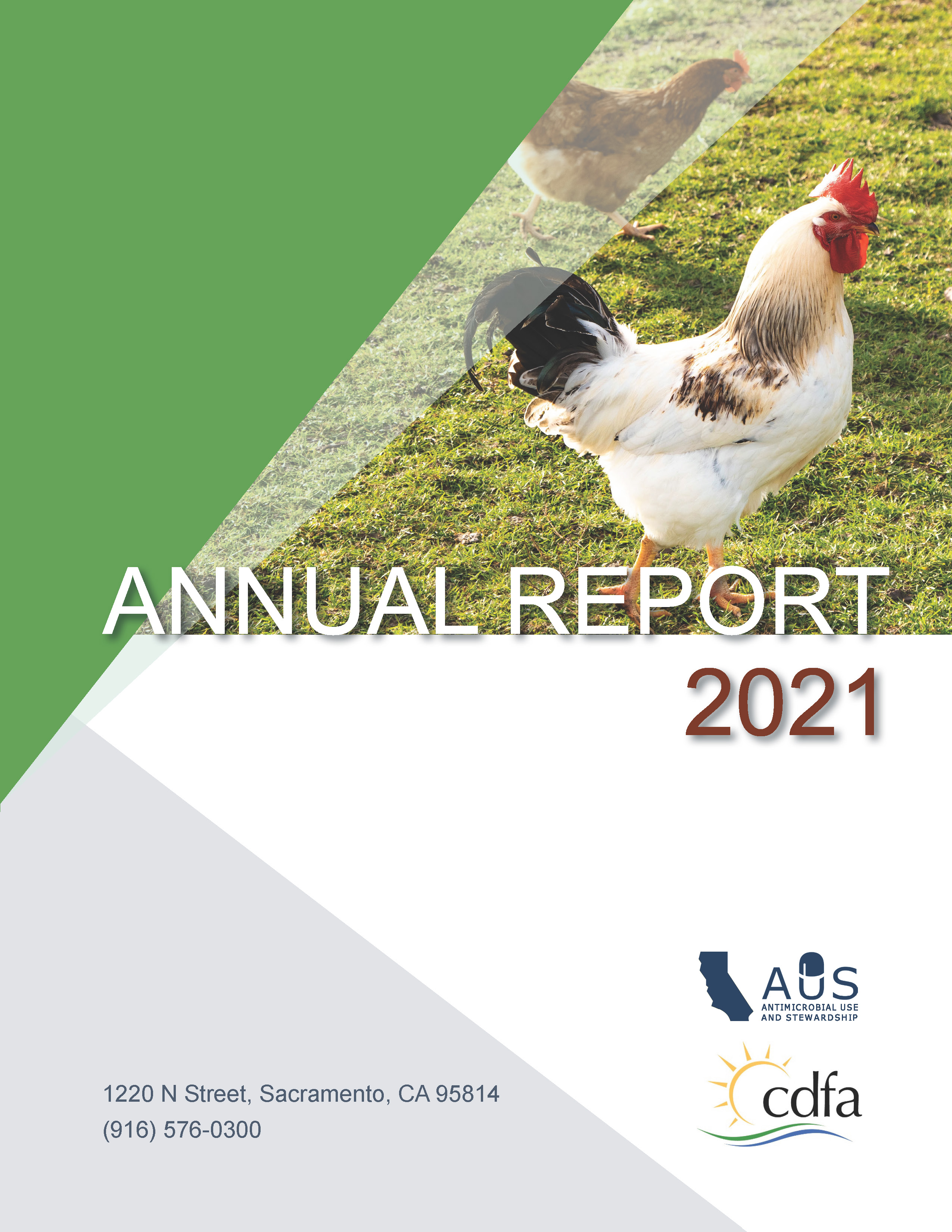 AUS 2021 Annual Report Cover