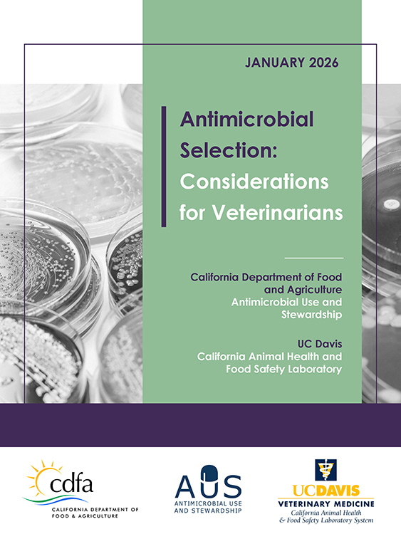 Antimicrobial Selection: Considerations for Veterinarians thumbnail