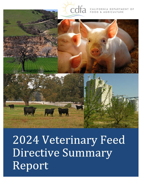 CDFA AUS Annual Report cover thumbnail