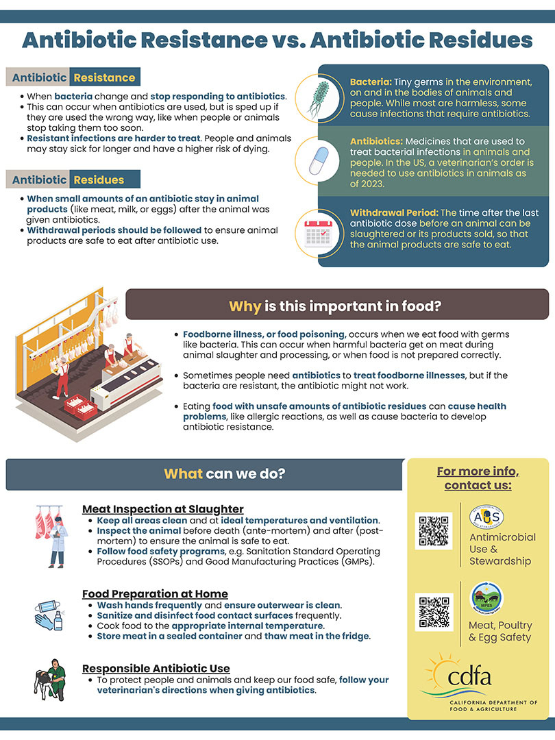 CDFA Flyer Antibiotic Resistance Vs Antibiotic Residues  thumbnail