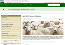 USDA NAHMS Sheep 2024 Study Cover