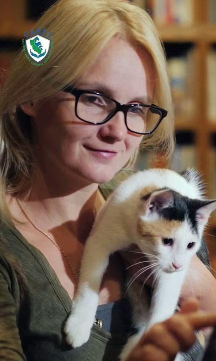 Evacuating with your pets during disasters