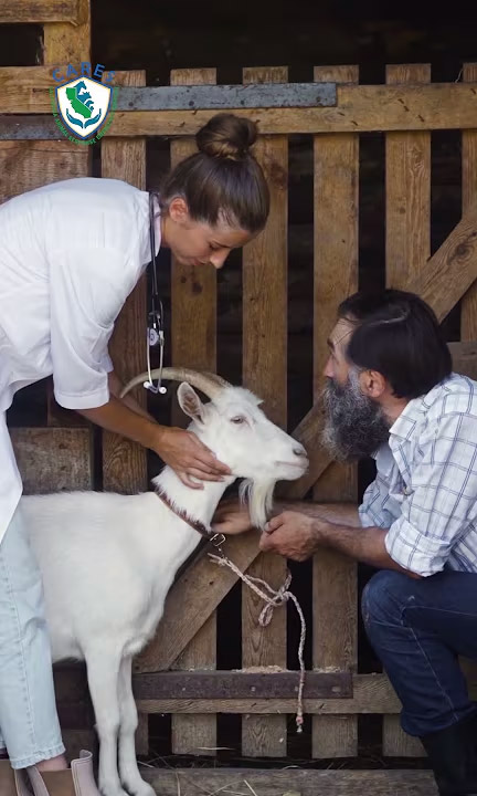 Protecting your livestock from wildfires