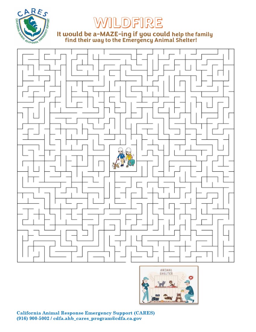 CARES Wildfire Maze
