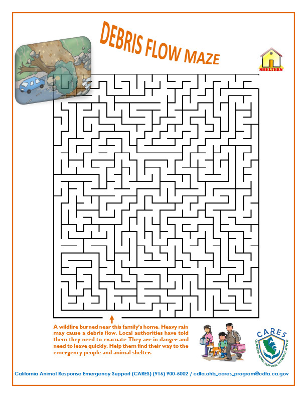 Debris Flow Maze