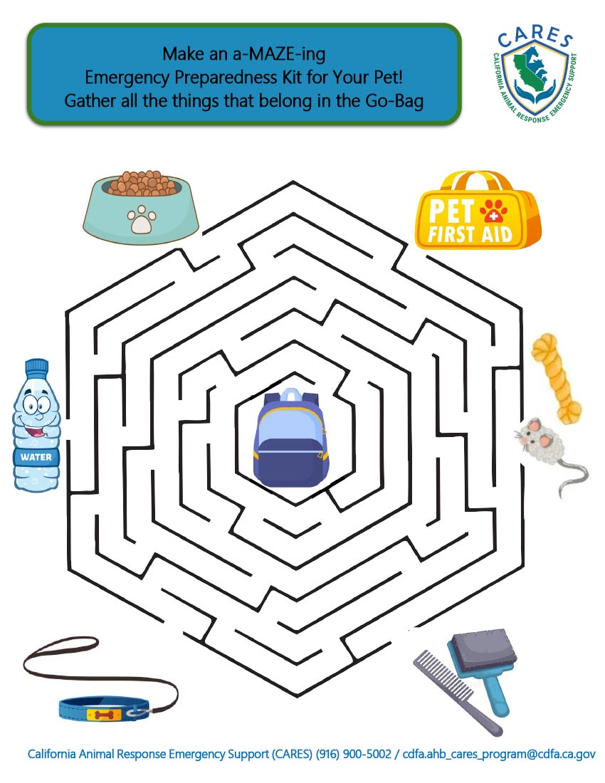 CARES Emergency Preparedness Kit Maze