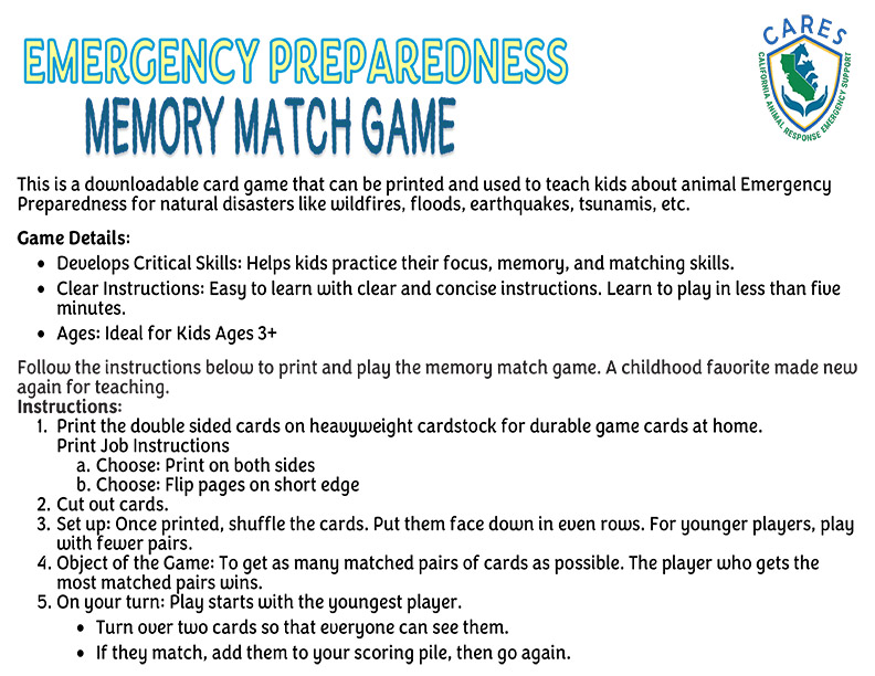 Emergency Preparedness Memory Match Game