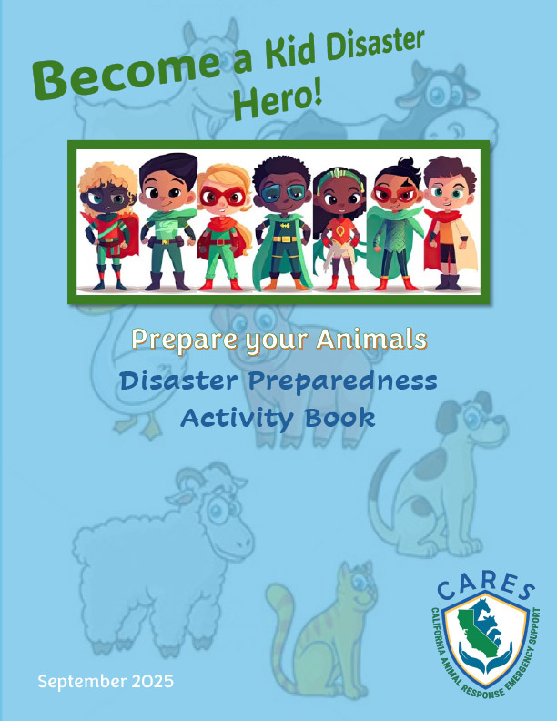 Kid Disaster Hero Activity Book