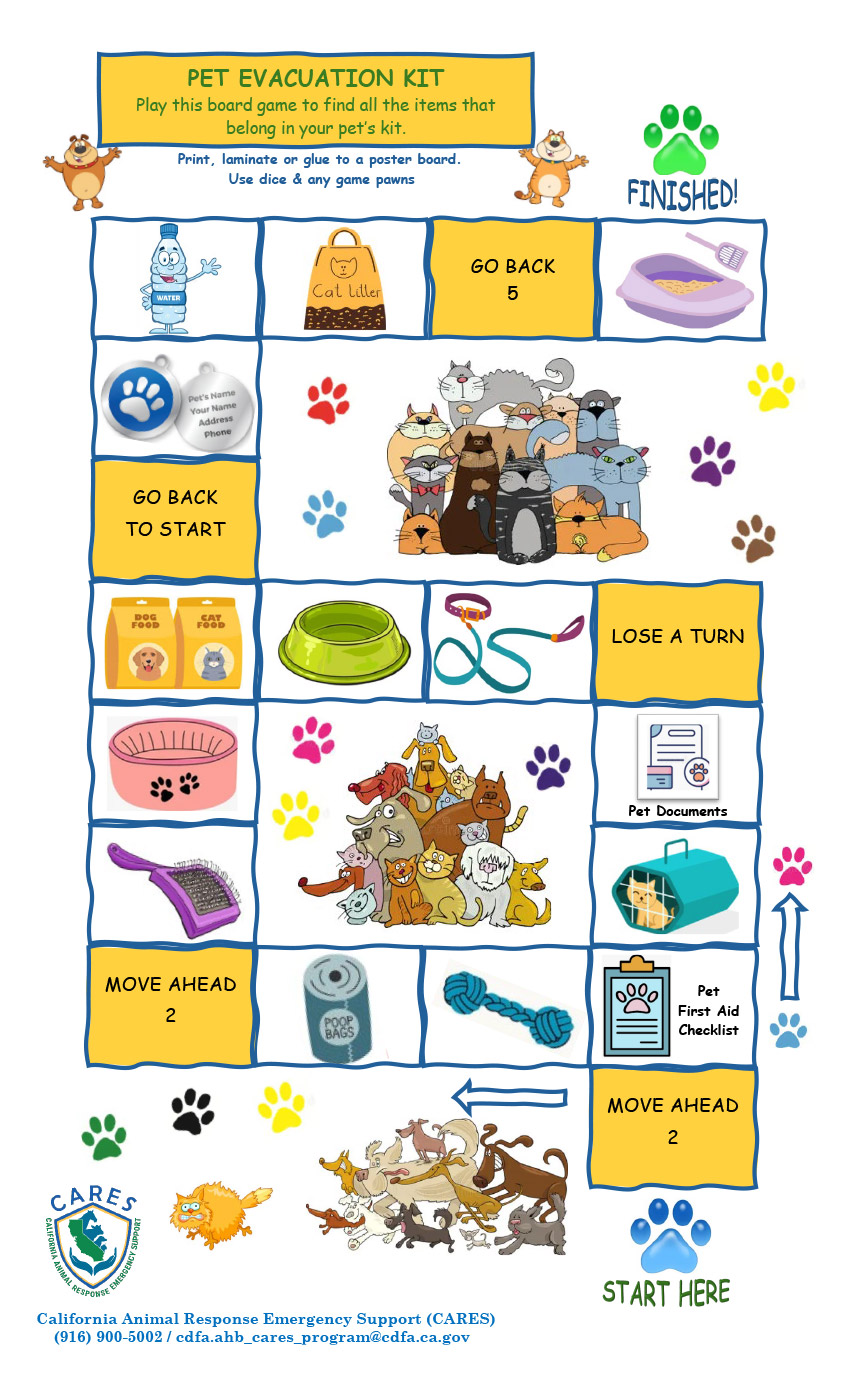 Pet Evacuation Kit Board Game